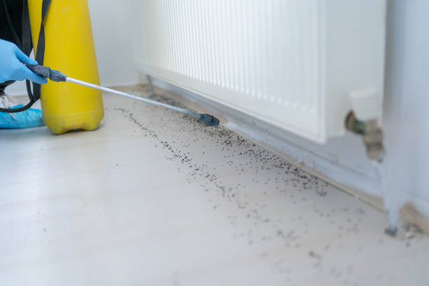  North Pembroke, MA Pest Control Pros