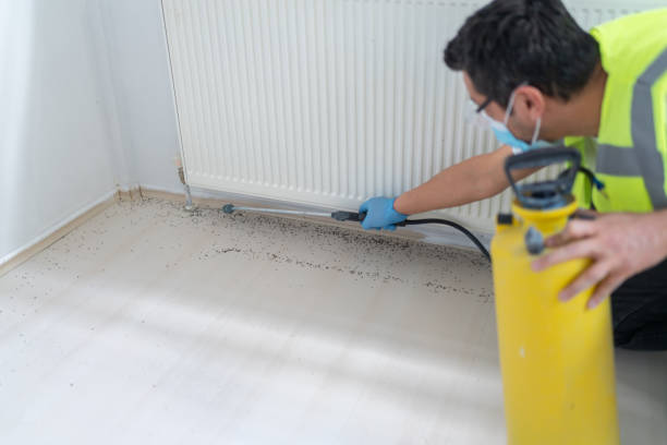 Best Mosquito Control Services  in North Pembroke, MA